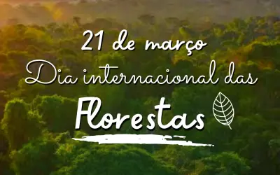 21 de março - Dia Internacional das Florestas