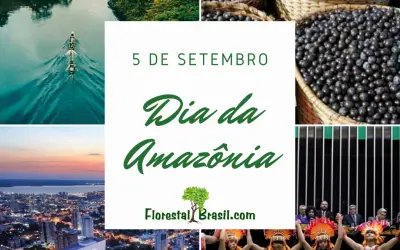 [SEMANA DA AMAZÔNIA] 30 fatos sobre a Amazônia