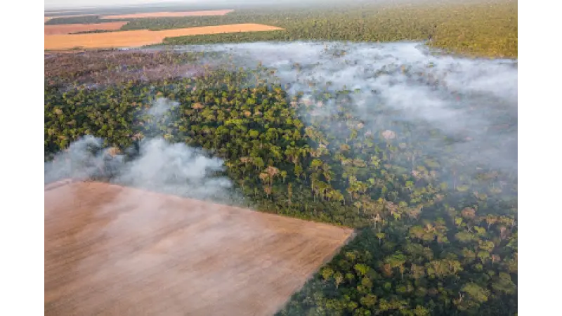 A AMAZÔNIA SE APROXIMA DE UM COLAPSO