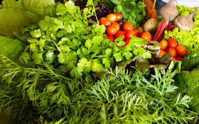 A Embrapa lança ambiente digital revolucionário para auxiliar na produção orgânica e agroecológica