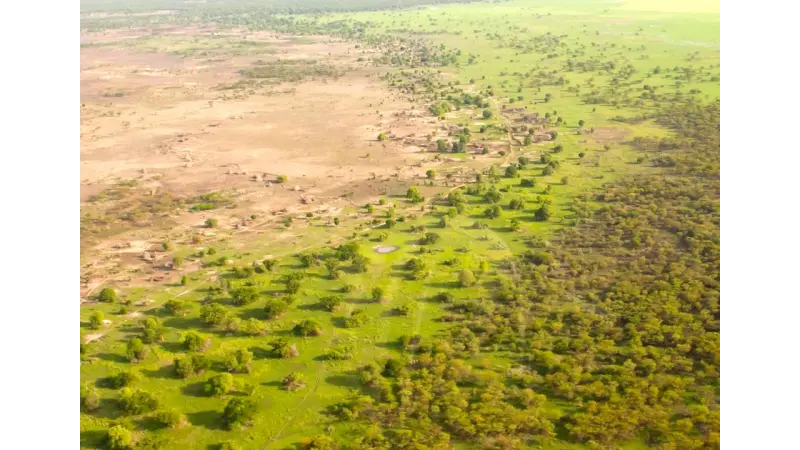 A Grande Muralha Verde Africana fará mudanças no clima