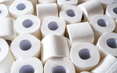 A história do papel higiênico, conheça de sua criação até os dias atuais