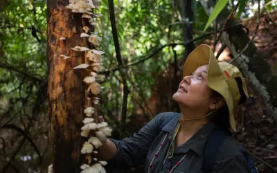 A Micóloga Noemia Kazue Ishikawa no TEDxAmazônia: Os Fungos e o Ciclo da Vida na Natureza