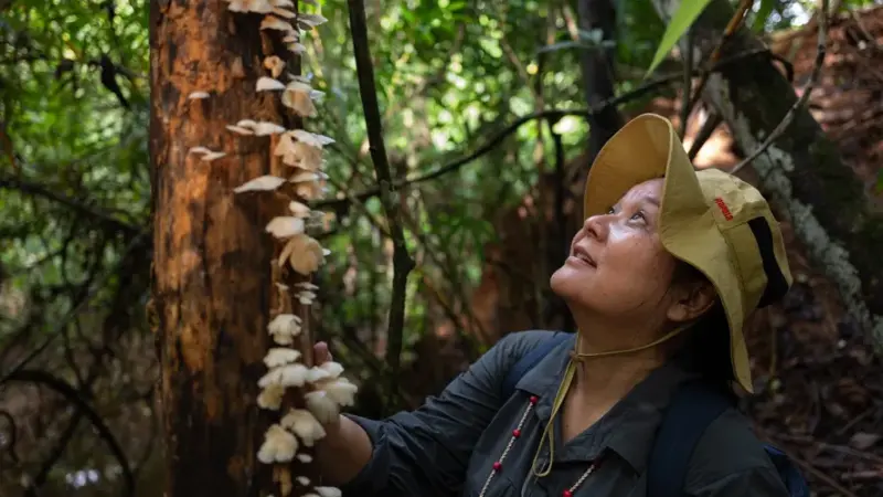 A Micóloga Noemia Kazue Ishikawa no TEDxAmazônia: Os Fungos e o Ciclo da Vida na Natureza
