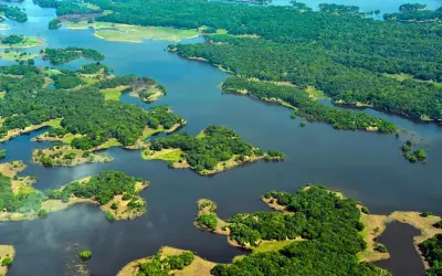 ABSURDO: Senador propõe diminuição em 50% da Reserva Legal na Amazônia