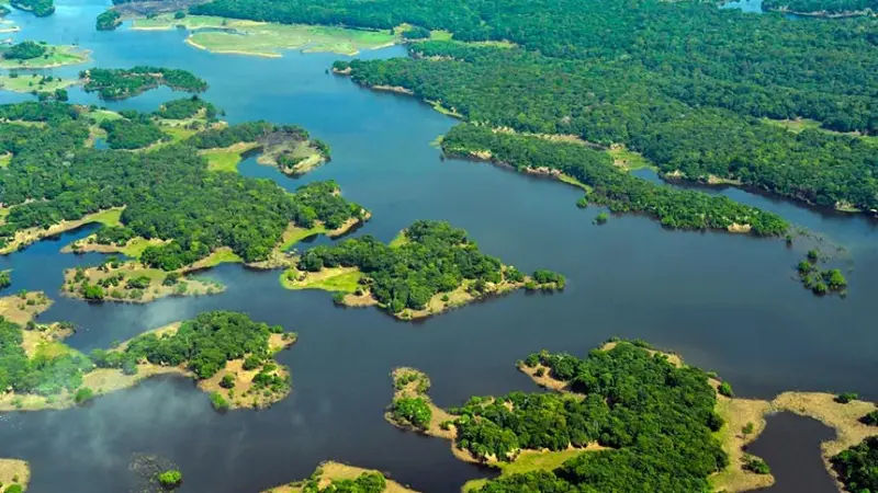 ABSURDO: Senador propõe diminuição em 50% da Reserva Legal na Amazônia