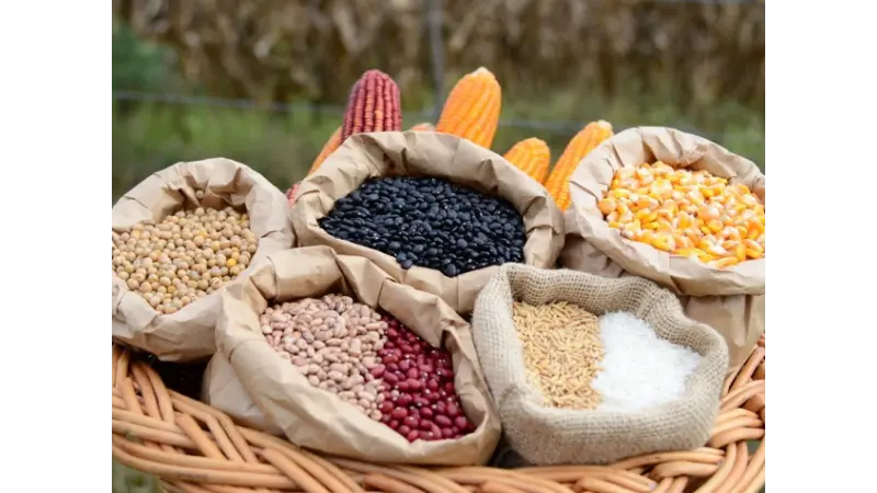 Agro regenerativo: É preciso dialogar com o futuro do alimento