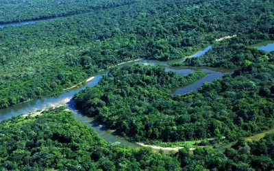 Alemanha destina R$ 200 milhões para conservação da Amazônia