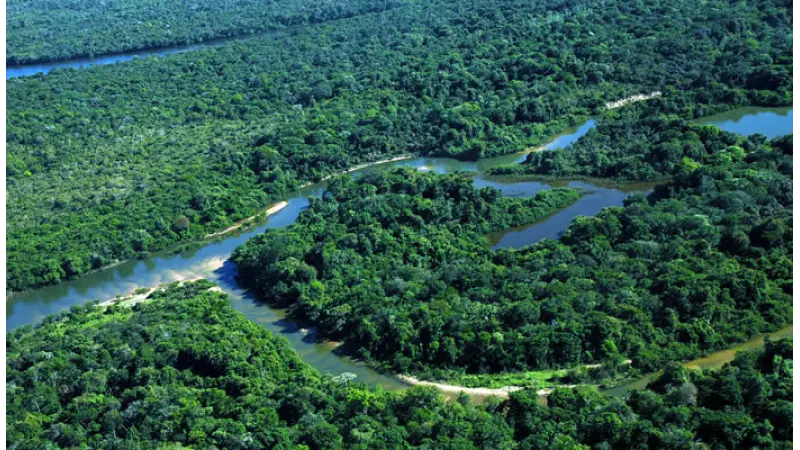 Alemanha destina R$ 200 milhões para conservação da Amazônia