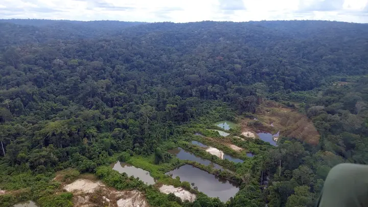 Alerta Vermelho na Amazônia: Degradação Ambiental Dispara e Ameaça o Futuro do Brasil
