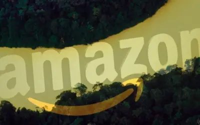 Amazon vai restaurar florestas na Amazônia do País em ação de remoção de carbono