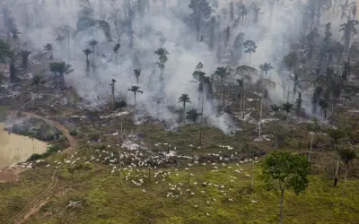 A Amazônia brasileira já se aproxima do limite crítico de 20% a 25% de desmatamento previsto pela ciência como ponto de não retorno