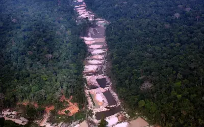 Amazônia pode atingir ponto de não retorno até 2050