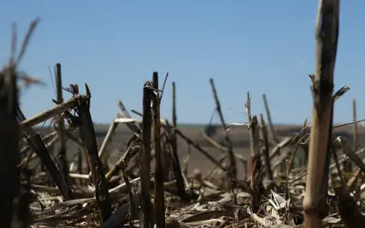 No Brasil, índices ambientais reduzem produtividade agrícola que tecnologia ajuda a elevar