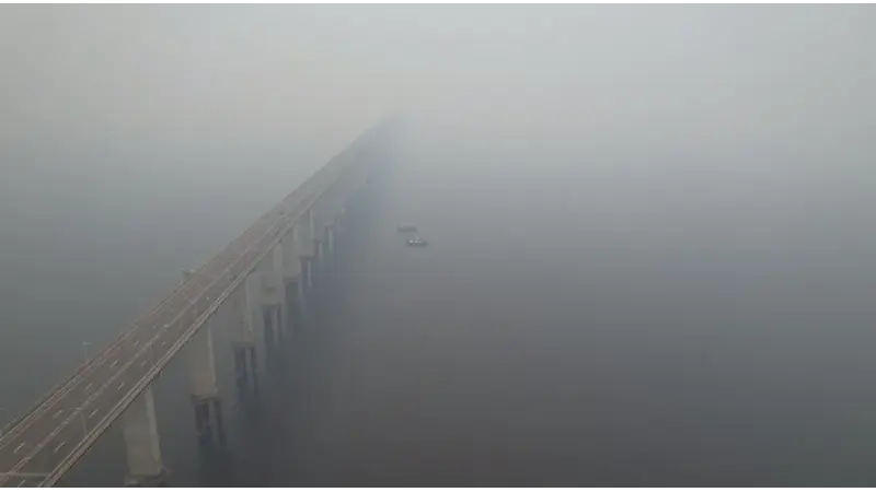 Apesar da redução do desmatamento na Amazônia, Manaus está sofrendo com fumaça de incêndios florestais