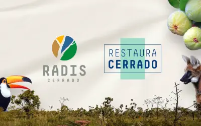 App desenvolvido pela UnB auxilia agricultores na restauração do Cerrado