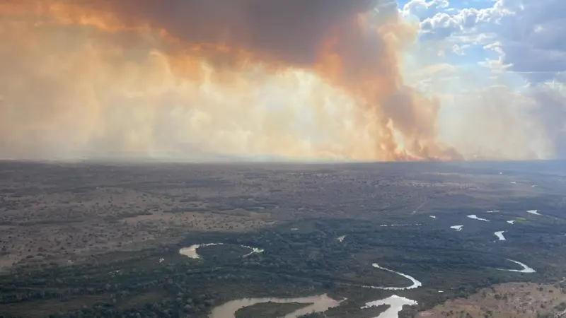 Aquecimento global aumenta em 40% o risco de incêndios no Pantanal