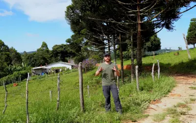 Arborização Rural: estratégias para valorizar a propriedade e promover o bem-estar animal