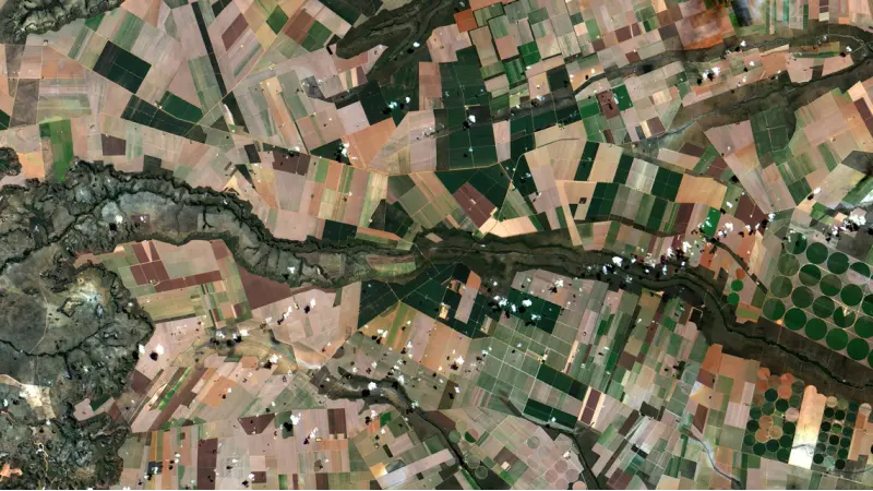 Áreas privadas de conservação no Cerrado poderiam preservar até 25% dos hábitats