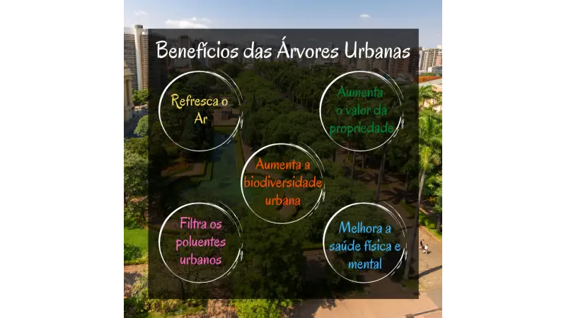 Árvores Urbanas e seus benefícios
