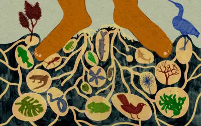 As Consequências da Lei Marco Temporal para a Biodiversidade e o Clima no Brasil