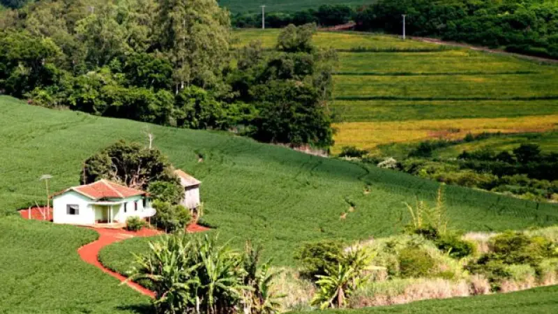 Atenção! Cadastro Ambiental Rural passa a ser obrigatório na declaração do ITR
