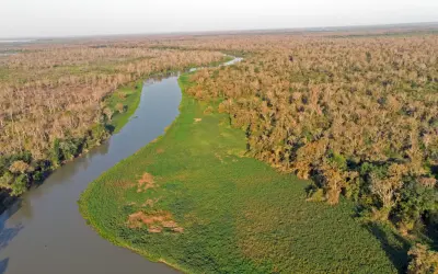 Atual queimada pode mudar para sempre o bioma do Pantanal