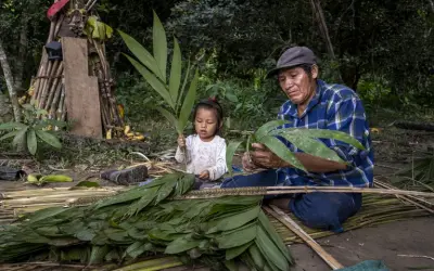 Avaliação crítica da alegação de 80%: reconhecendo o verdadeiro papel dos povos indígenas na conservação da biodiversidade