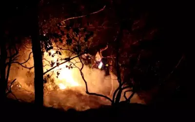 Bombeiros combatem incêndio florestal de grandes proporções na Grécia