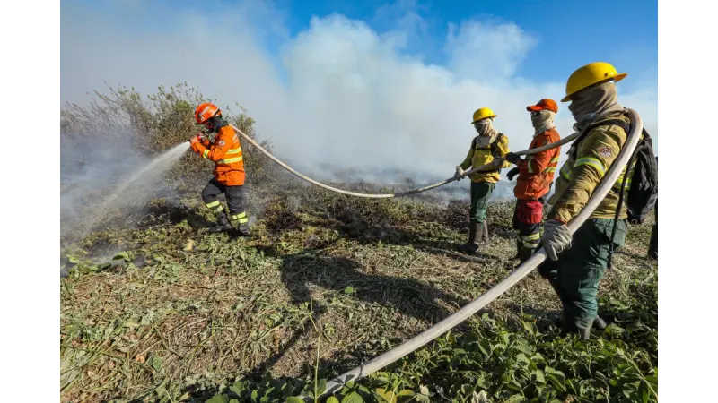 Bombeiros de MT continuam combate de quatro incêndios florestais no Estado neste domingo (21)