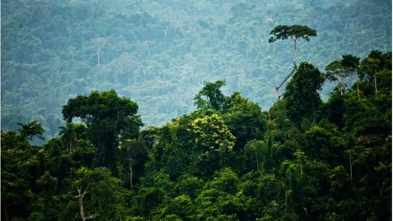 Cadastro Ambiental Rural fecha 2018 com 503,84 milhões de hectares
