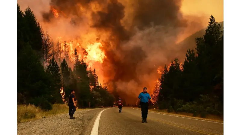 Chamas sem fronteiras: incêndios na Patagônia evidenciam nova dinâmica do fogo