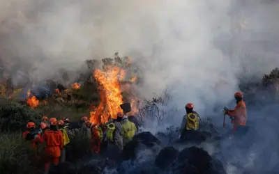 Matemática contra o Fogo: Como a ciência está antecipando o risco de incêndios na Mata Atlântica
