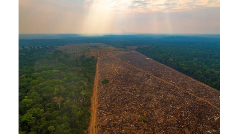 13 Anos do Código Florestal: Rigor para Brasileiros, Benevolência para Estrangeiros