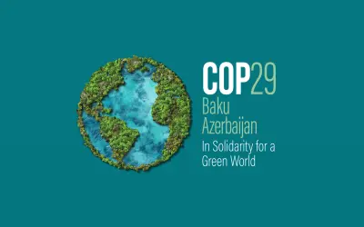 O Código Florestal Brasileiro na COP29