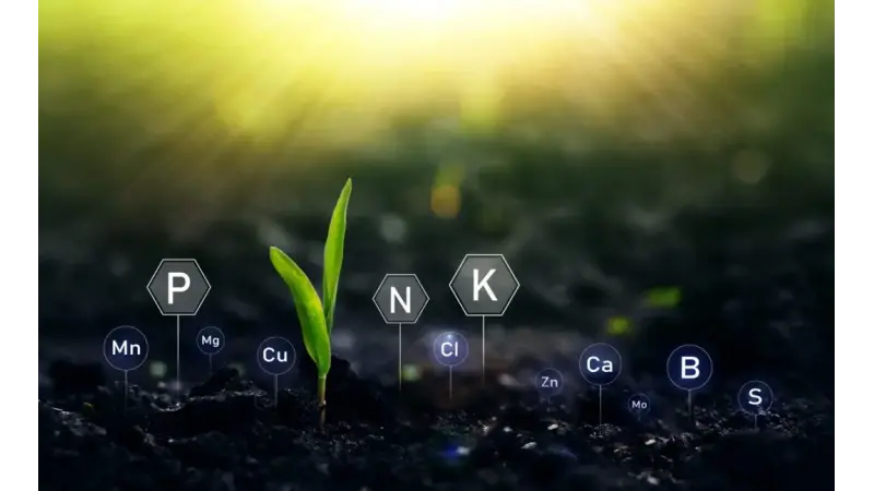Como a modelagem de IA ajuda a entender o que ocorre no campo
