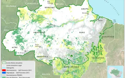 Como funciona o monitoramento das florestas via satélite?
