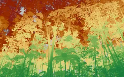 Como o desmatamento e o aquecimento agridem a Amazônia