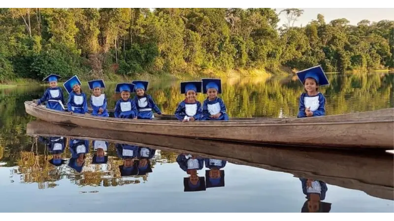 Como Projeto inspirado nos EUA - MIT planeja ajudar a Amazônia até 2031?