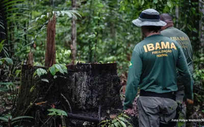 Como se preparar para o concurso do IBAMA. Veja esse cronograma de estudos