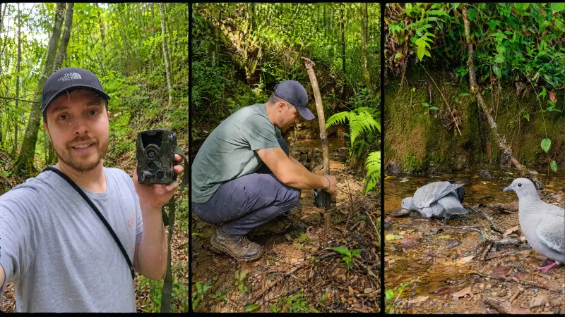 Os Olhos da Floresta: Como utilizar a Câmera Trap para o monitoramento invisível da fauna