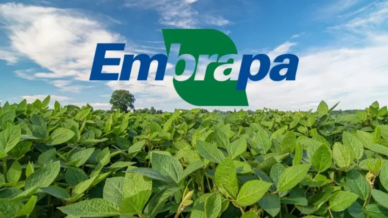 Concurso EMBRAPA: Tudo sobre o edital, e como se preparar