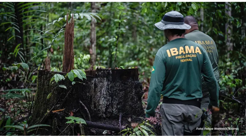 Concurso IBAMA 2021: sai edital com 568 vagas efetivas