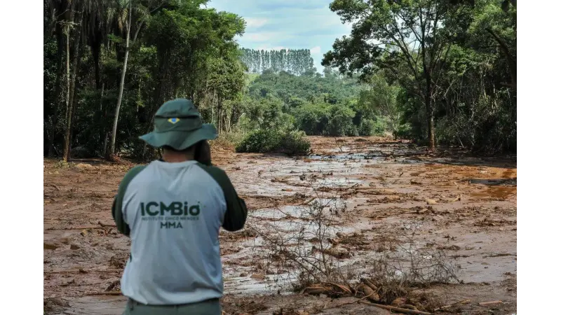Concurso ICMBio 2024: Banca Definida e Novidades sobre o Edital com 350 Vagas