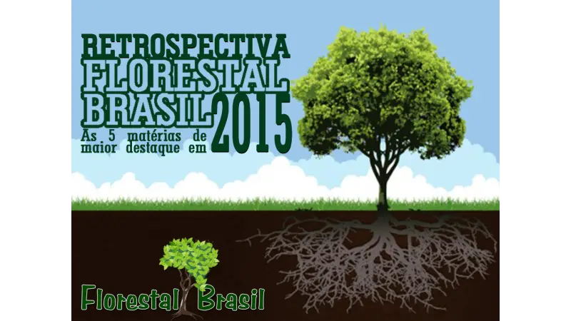 Confira as matérias mais acessadas de 2015