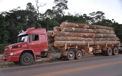 Consumidor terá acesso a informações sobre a origem da madeira de concessões florestais