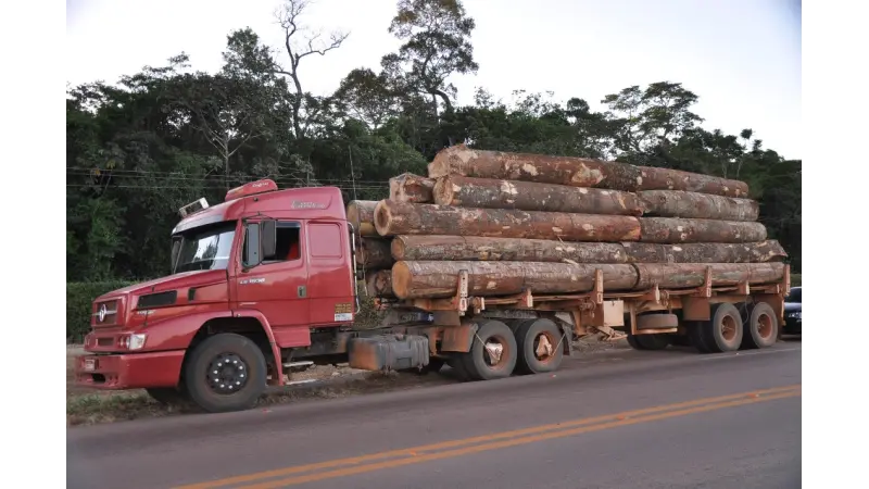 Consumidor terá acesso a informações sobre a origem da madeira de concessões florestais