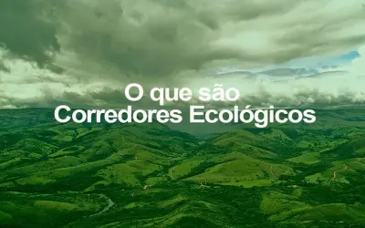 Entenda o que são Corredores Ecológicos