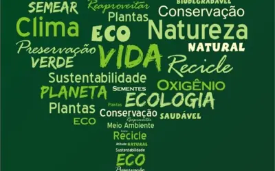 CURIOSIDADE: Por que o Dia Mundial do Meio Ambiente é comemorado em 05 de junho?