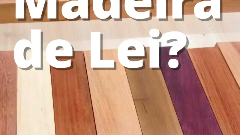 De onde surgiu o termo madeira de lei?